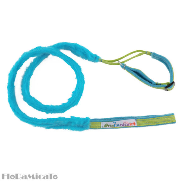 FLUFFY LEASH + COLLAR