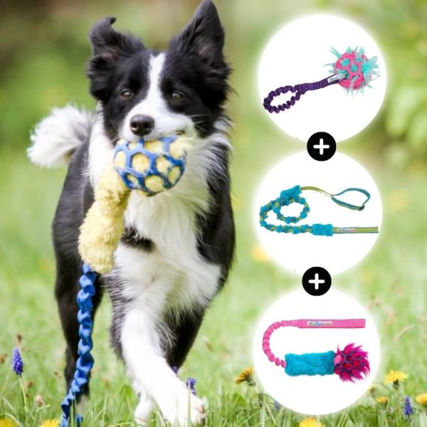 Agility Bundle for Big Dogs